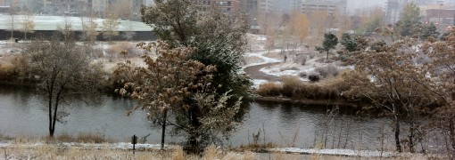 Second snow in Denver: November 11 Second snow in Denver: November 11