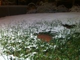 Snow, grass and brick