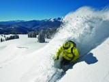 vail2011a