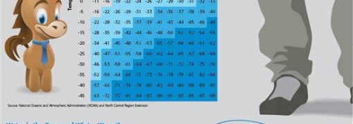 Buying a Winter Jacket Infographic