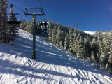 Plenty of fresh turns and soft bumps