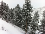 On the Lower Beaver Creek Mountain Express Lift