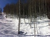 Heading up Bachelor Gulch